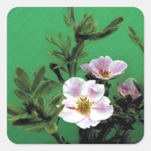 Adesivo Quadrado flores rosa silvestre, cor-de-rosa, a verde, Elega
