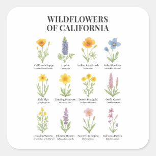 Adesivo Quadrado Flores Selvagens da Califórnia - Cor d'água botâni