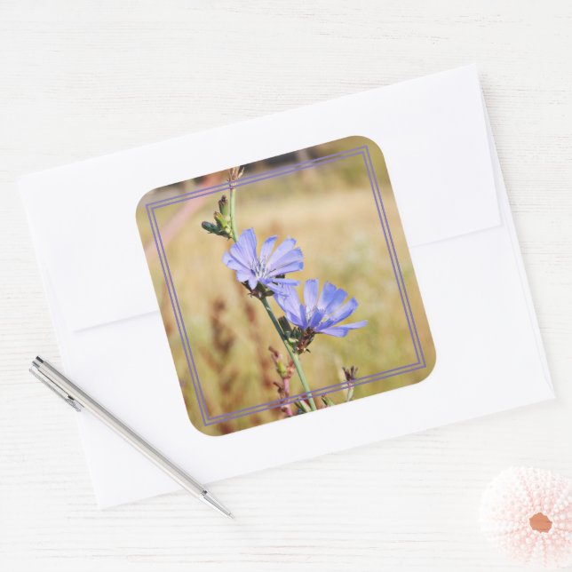 Adesivo Quadrado Flores Selvagens pela Manhã (Envelope)