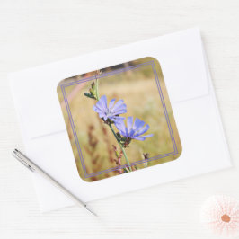 Adesivo Quadrado Flores Selvagens pela Manhã