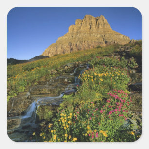Adesivo Quadrado Flores silvestres alpinas & Mt Clements em Logan P