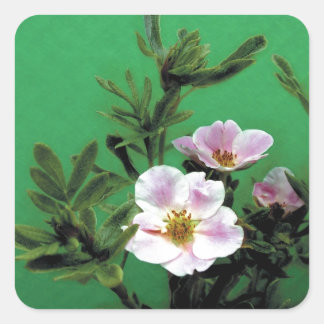 Adesivo Quadrado flores silvestres de rosa rosa em verde, Elegante