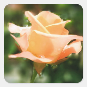 Adesivo Quadrado Flores Vintage Rosa