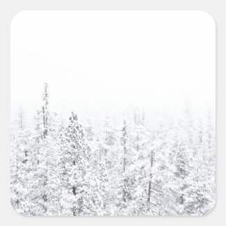Adesivo Quadrado Floresta de neve