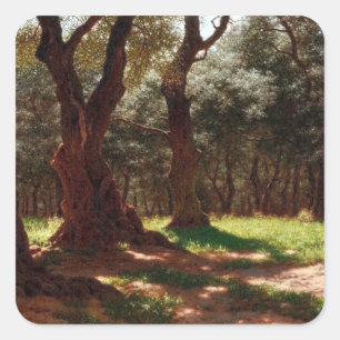 Adesivo Quadrado Floresta de oliveiras em Cap Saint Martin