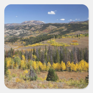Adesivo Quadrado Floresta Nacional de Bridger-Teton
