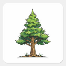 Floresta perene
