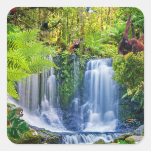 Adesivo Quadrado Floresta tropical e animais incríveis