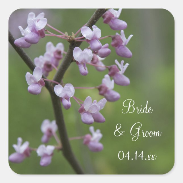 Adesivo Quadrado Flowing Wedding Tree Envelope Seals (Frente)