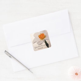 Adesivo Quadrado Focas de Envelope de Casamento Daffodil Primavera 