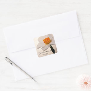 Adesivo Quadrado Focas de Envelope de Casamento Daffodil Primavera