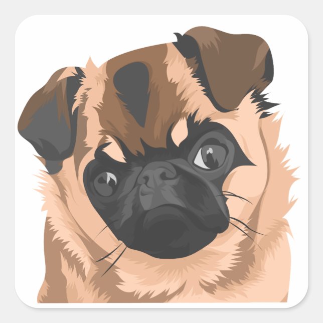 Adesivo Quadrado Folha adesiva (Frente)