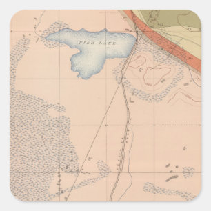 Adesivo Quadrado Folha detalhada XIII da geologia