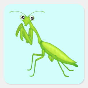 Adesivo Quadrado Folhas de Cartum Verde Rezando Mantis Sticker