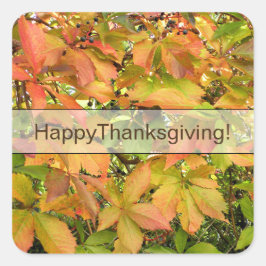Adesivo Quadrado Folhas selvagens da vinha do outono