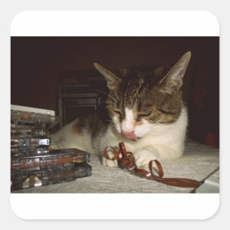 Adesivo Quadrado Fome Por Cassettes