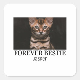 Adesivo Quadrado Forever bastie minimilist pet bastie