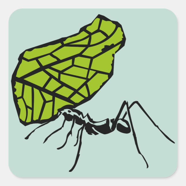 Adesivo Quadrado Formiga de fio de folha natureza Stencil (Frente)