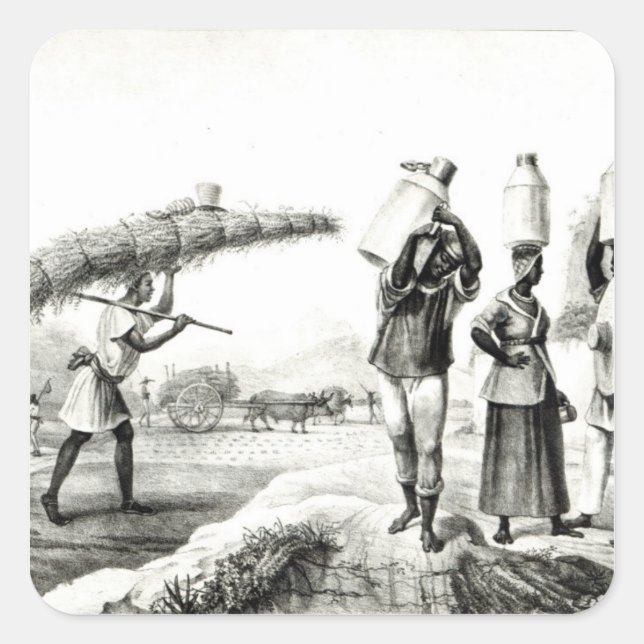 Adesivo Quadrado Fornecedores de Leite e Capim (Frente)