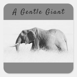 Adesivo Quadrado Foto de alta chave Gentle Giant Elephant com texto