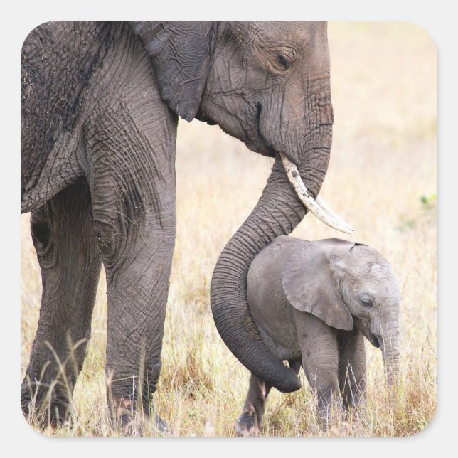 Adesivo Quadrado Foto de amor materno (Frente)