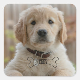 ADESIVO QUADRADO FOTO DE CACHORRINHO DE CÃO NOME OSSO MELHOR MÃE PA