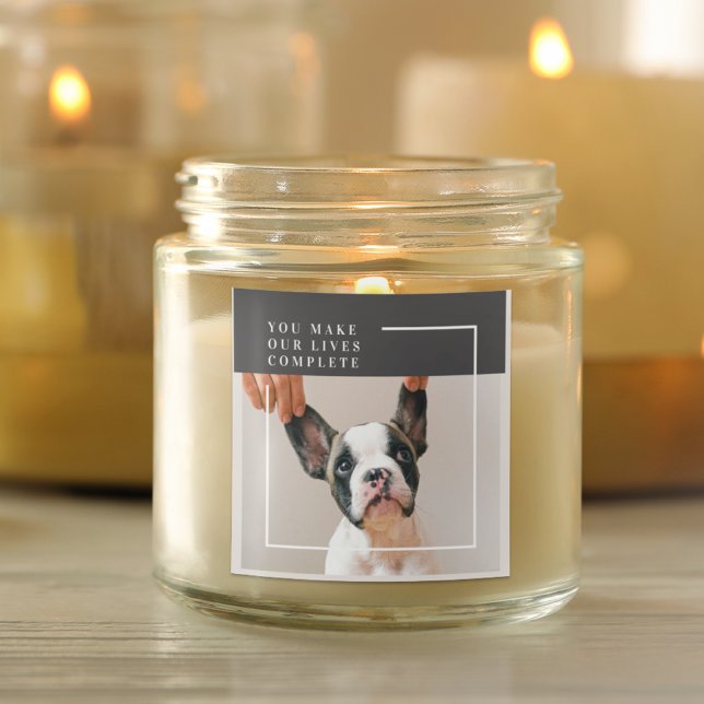 Adesivo Quadrado Foto de Cachorro Moderno | Cachorro (Criador carregado)