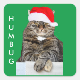 Adesivo Quadrado Foto de Humbug de Cat Natal com Santa Hat