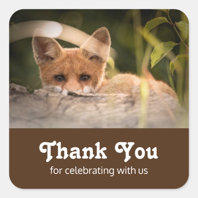 Adesivo Quadrado Foto de uma Raposa Laranja Bonita Obrigado (Frente)