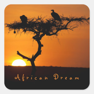 Adesivo Quadrado Foto do pôr do sol Romântico Africano Dream com 