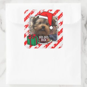 Adesivo Quadrado Foto personalizada Santa Hat Pet HO HO