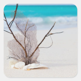 Adesivo Quadrado Fotografia de conchas em uma praia