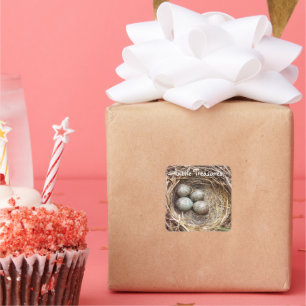 Adesivo Quadrado Fotos de Ovos no Ninho de Pássaros Pequenos Tesour