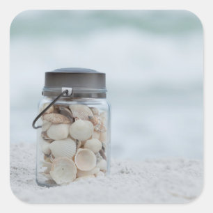 Adesivo Quadrado Frasco dos Seashells na praia   Florida