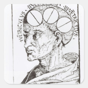 Adesivo Quadrado Frenologia