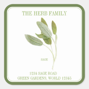 Adesivo Quadrado FRESH SAGE Large Square Envelope Seals - Verde