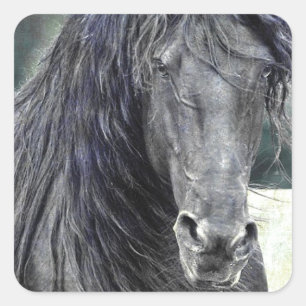 Adesivo Quadrado Frésio Stallion
