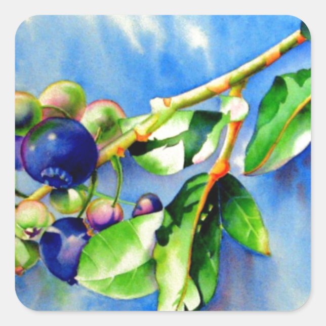 Adesivo Quadrado Fruta azul de pintura de aquarela elegante (Frente)
