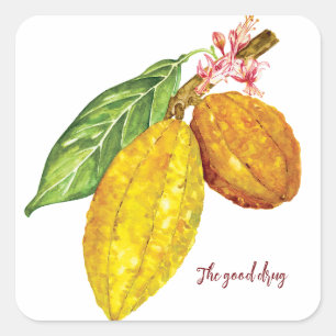 Adesivo Quadrado Fruta de chocolate de aquarela