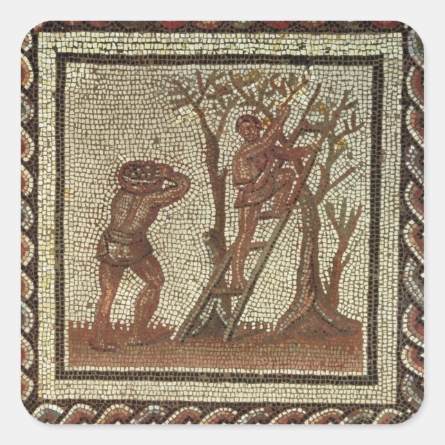 Adesivo Quadrado Fruta de colheita, mosaico romano (Frente)