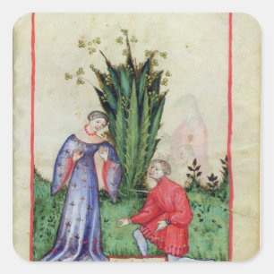 Adesivo Quadrado Fruta de Mandrake, de "Tacuinum Sanitatis"