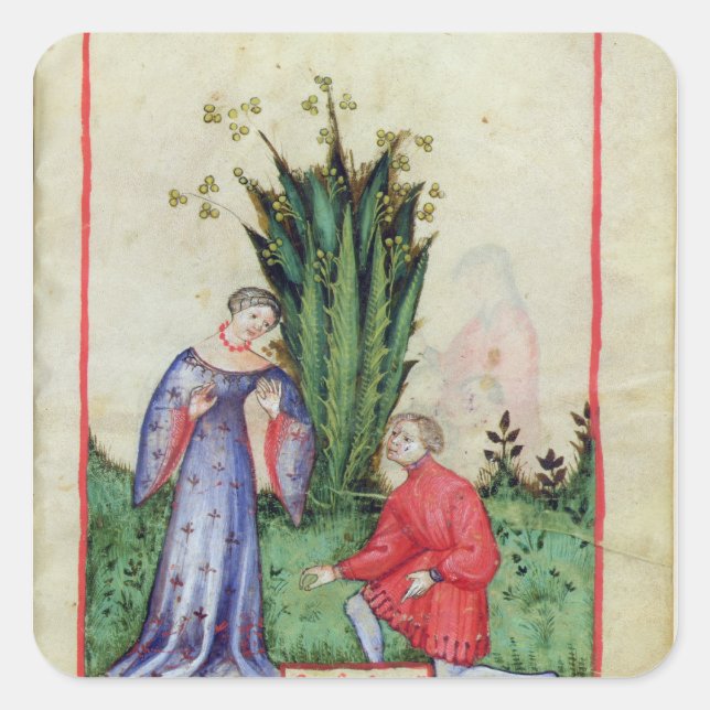 Adesivo Quadrado Fruta de Mandrake, de "Tacuinum Sanitatis" (Frente)