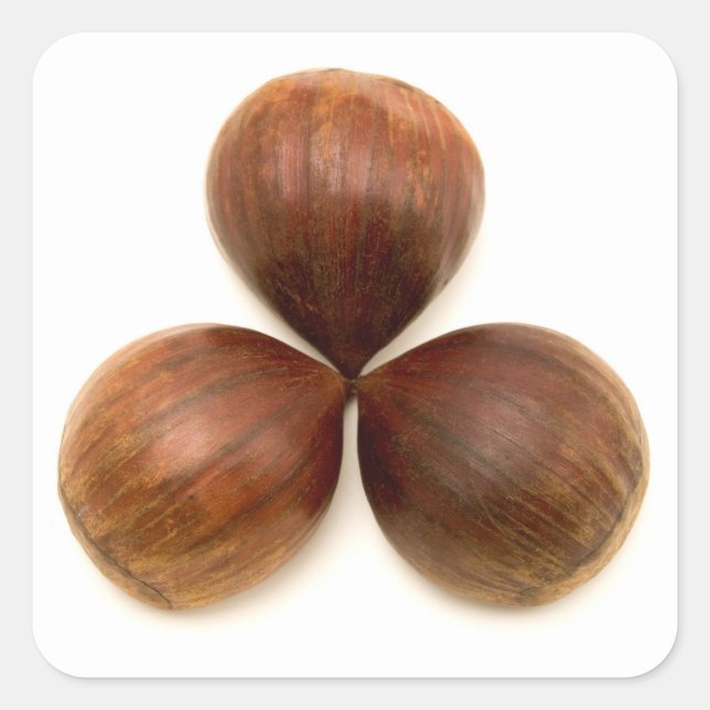 Adesivo Quadrado Frutas de castanha doce (Frente)