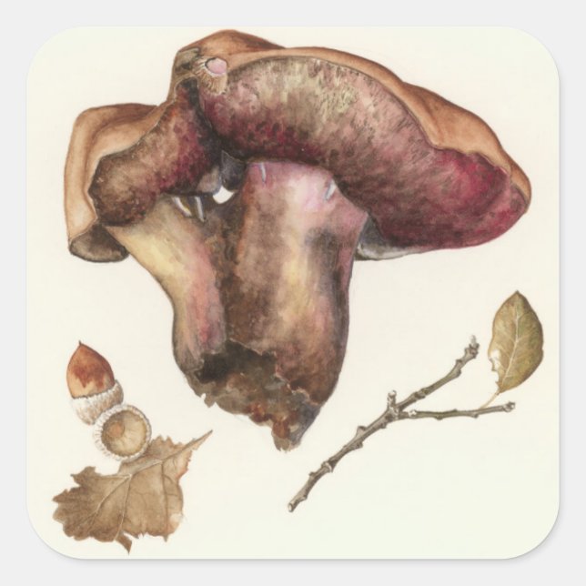 Adesivo Quadrado Fungo (Frente)