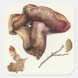 Adesivo Quadrado Fungo