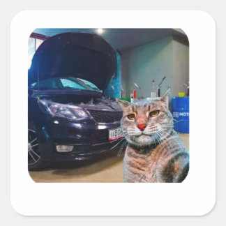 Adesivo Quadrado Funny Mechanic Cat in Garage Sticker 