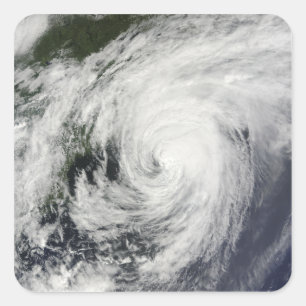 Adesivo Quadrado Furacão Bill sobre Nova Escócia