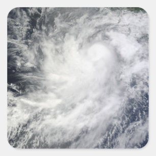 Adesivo Quadrado Furacão Frank do México