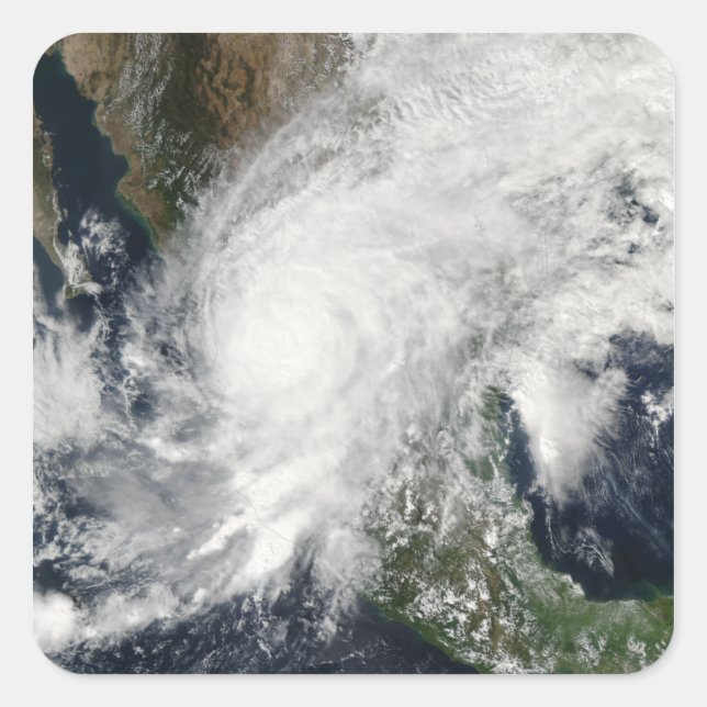 Adesivo Quadrado Furacão Kenna (Frente)