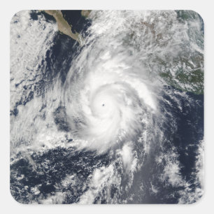 Adesivo Quadrado Furacão Kenna 2